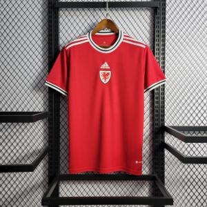 Wales 22/23 Home Fans Version Jersey