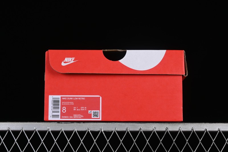 Nike Dunk Low Winter is Here Minimalist White Blue SB Lace-Up Low-Top Casual Skate Shoes - DV0831-104